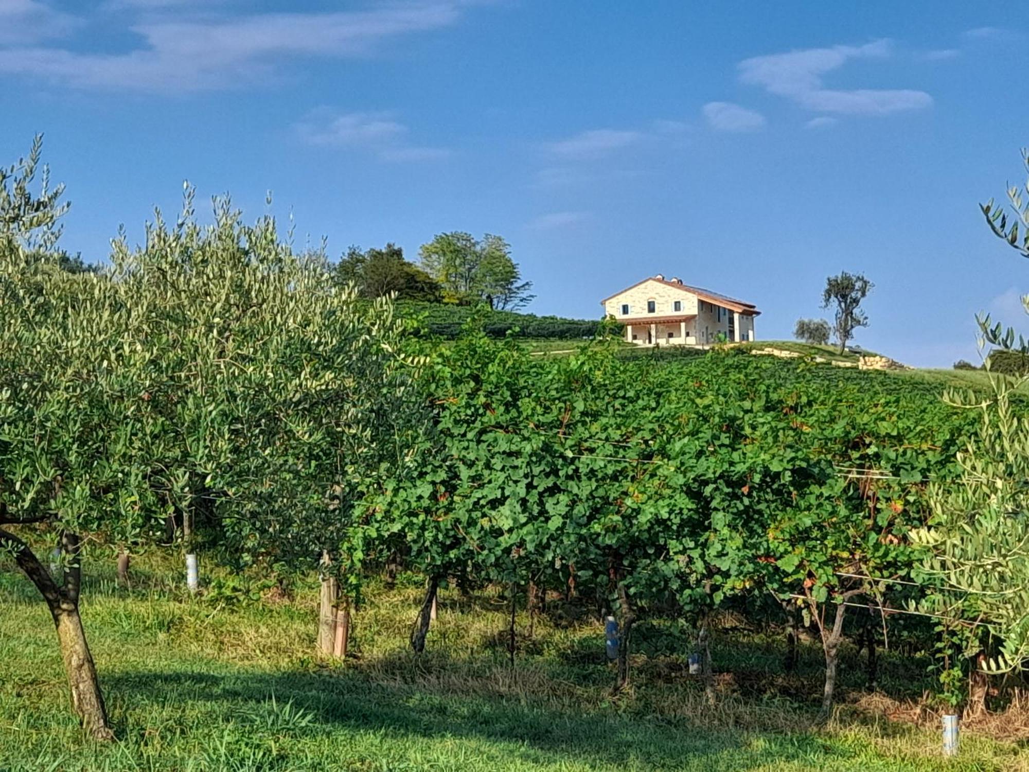 Agriturismo Riva Beata Cavaso Del Tomba Exteriér fotografie