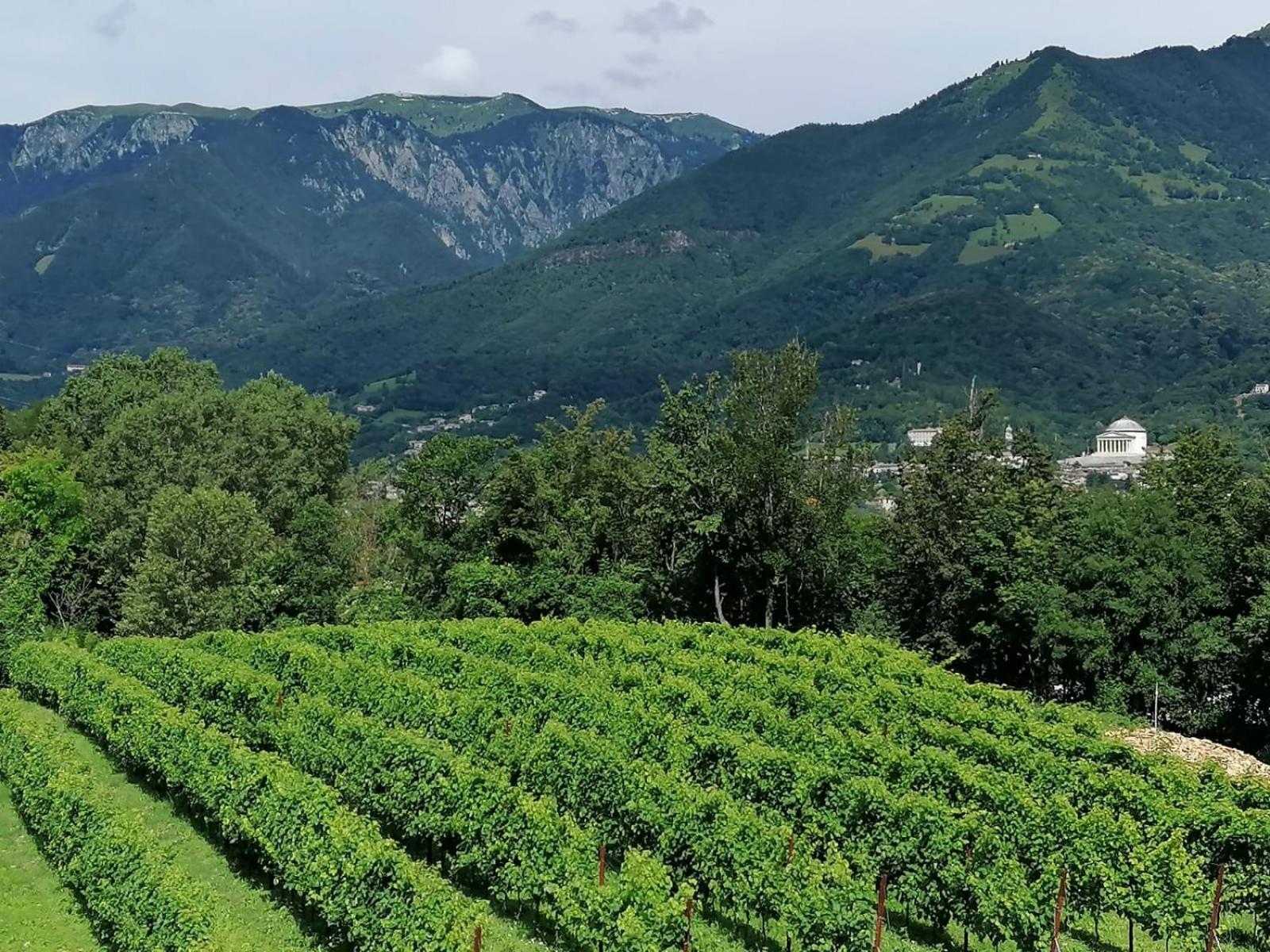 Agriturismo Riva Beata Cavaso Del Tomba Exteriér fotografie